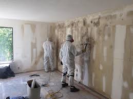 Mold Remediation for Vacation Homes in Kings Mills, OH